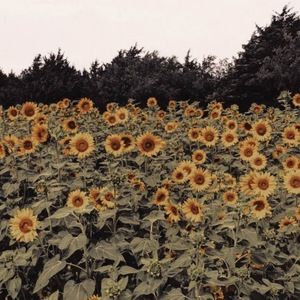 Meet your Posher, Helen